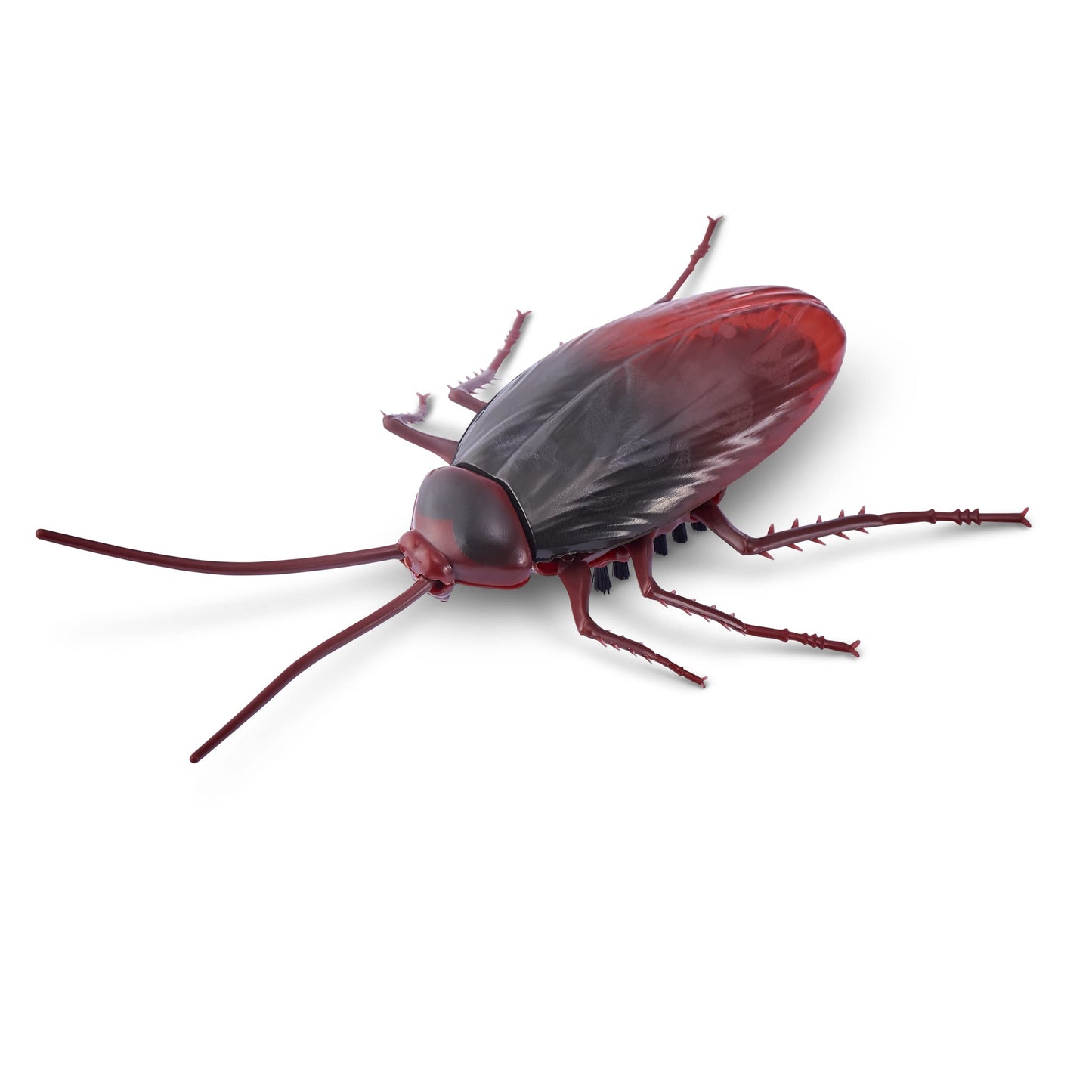 Zuru ROBO ALIVE CRAWLING COCKROACH SERIES 2