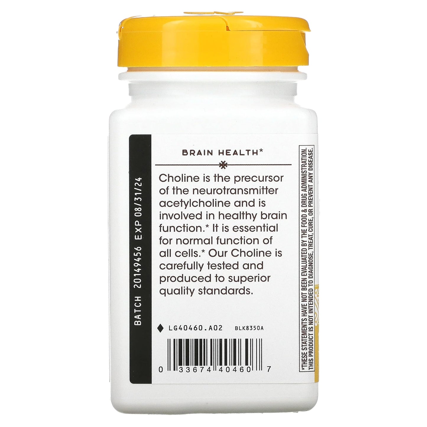 Nature's Way Choline 500Mg 100 Tablets, 200 g