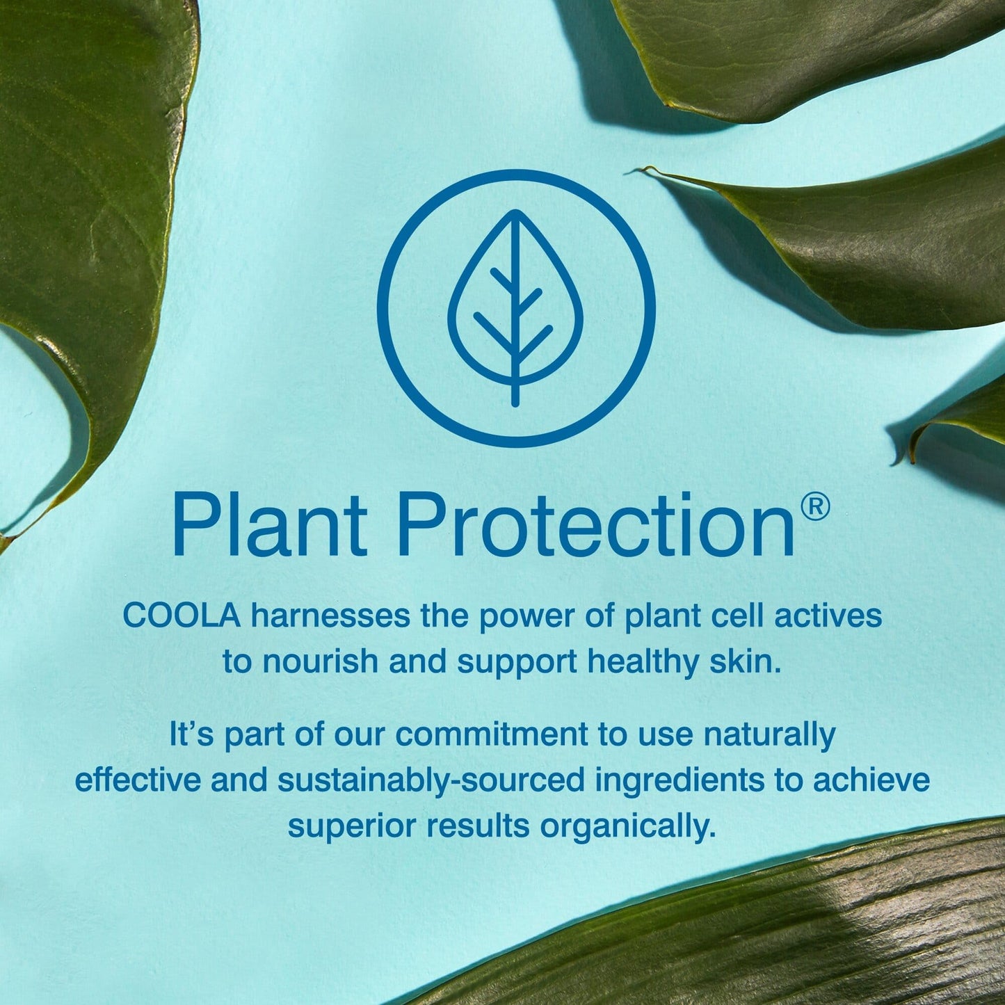Coola SPF 30 Mineral Face Sun Cream, 70 Percent + Organic Daily SPF Face Moisturiser, Broad Spectrum UVA/UVB Protection Sunscreen, 50 ml