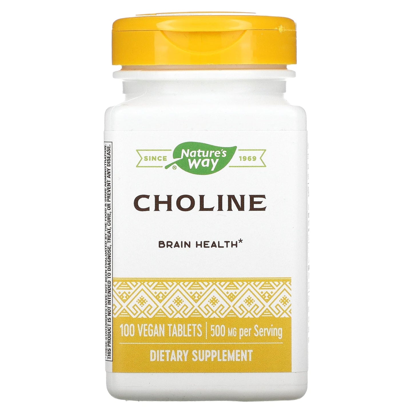 Nature's Way Choline 500Mg 100 Tablets, 200 g