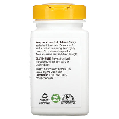 Nature's Way Choline 500Mg 100 Tablets, 200 g