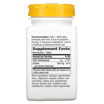 Nature's Way Choline 500Mg 100 Tablets, 200 g