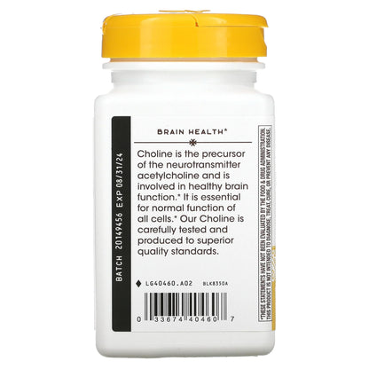 Nature's Way Choline 500Mg 100 Tablets, 200 g