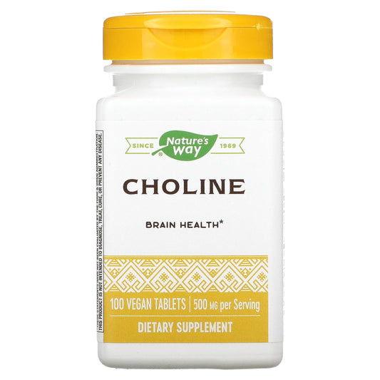 Nature's Way Choline 500Mg 100 Tablets, 200 g